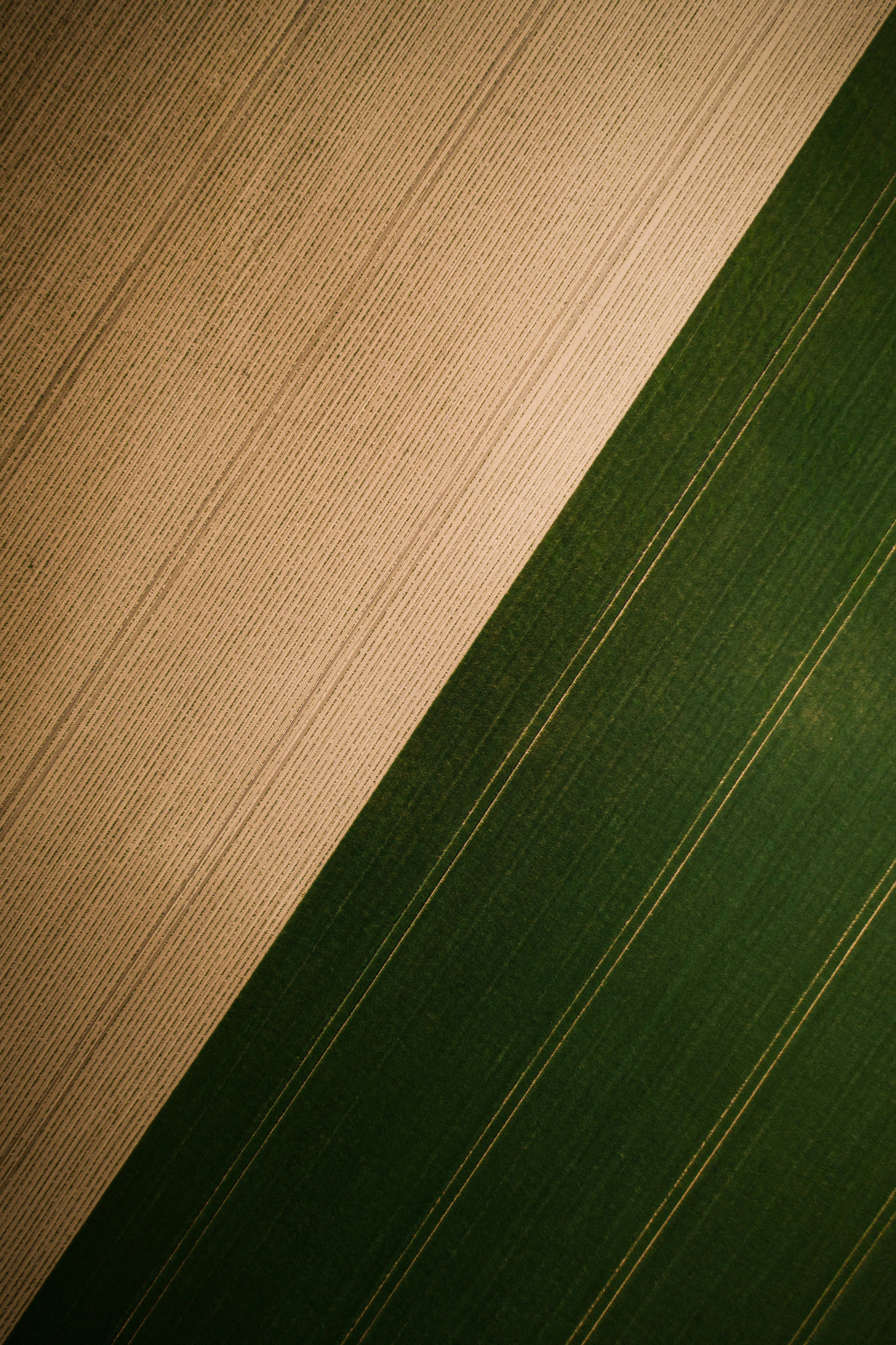 Vue aérienne de champs cultivés